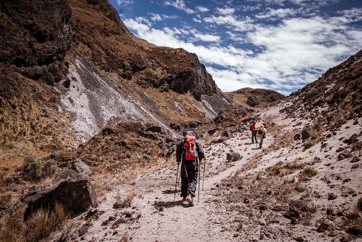 Randonnée dans le Parque Nacional Natural Los Nevados - Nevado del Ruiz