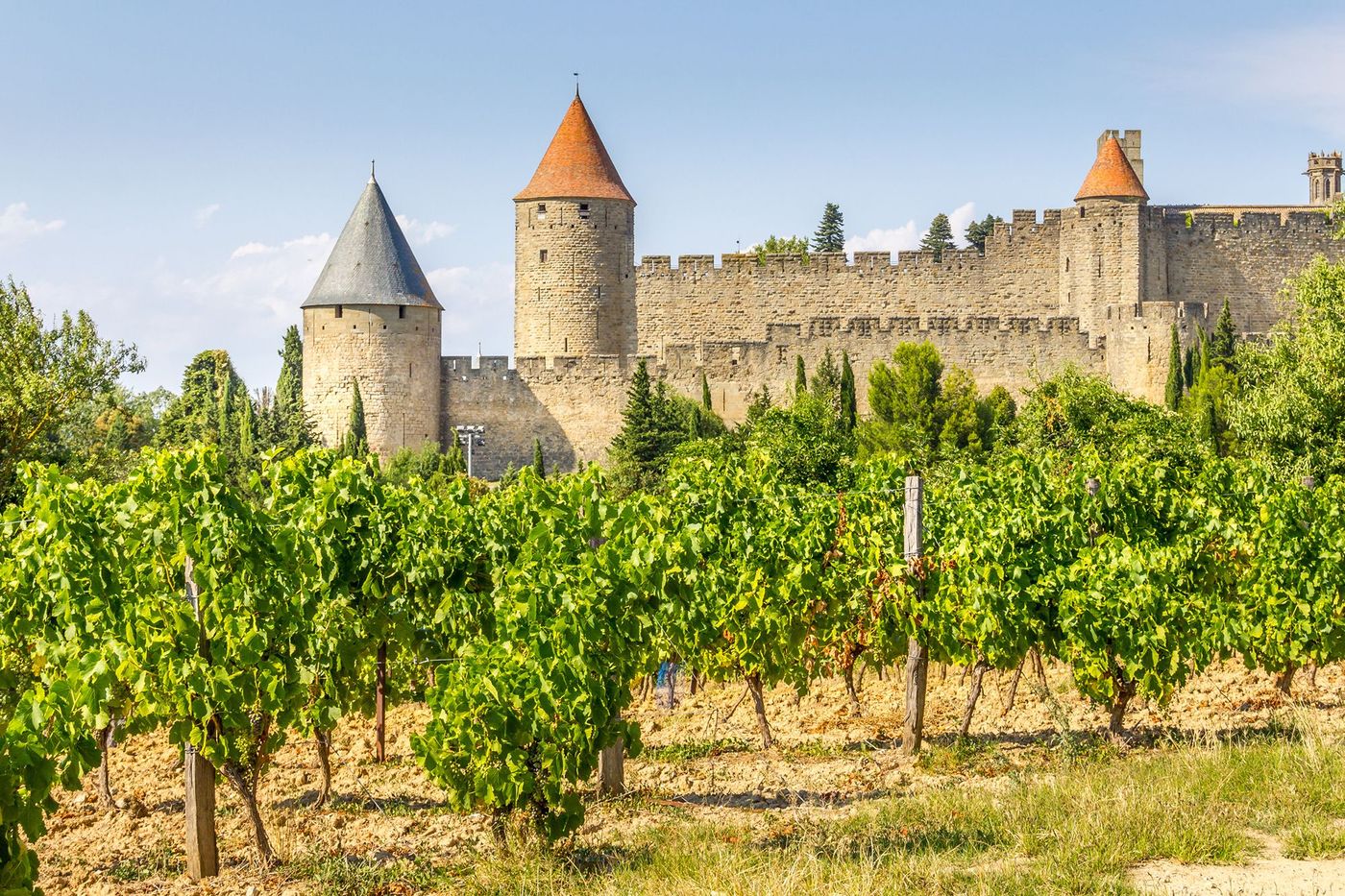Randonnée dans les vignes de Carcassonne