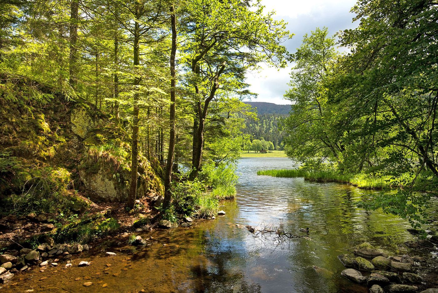 Randonnée entre les lacs de Retournemer et Longemer