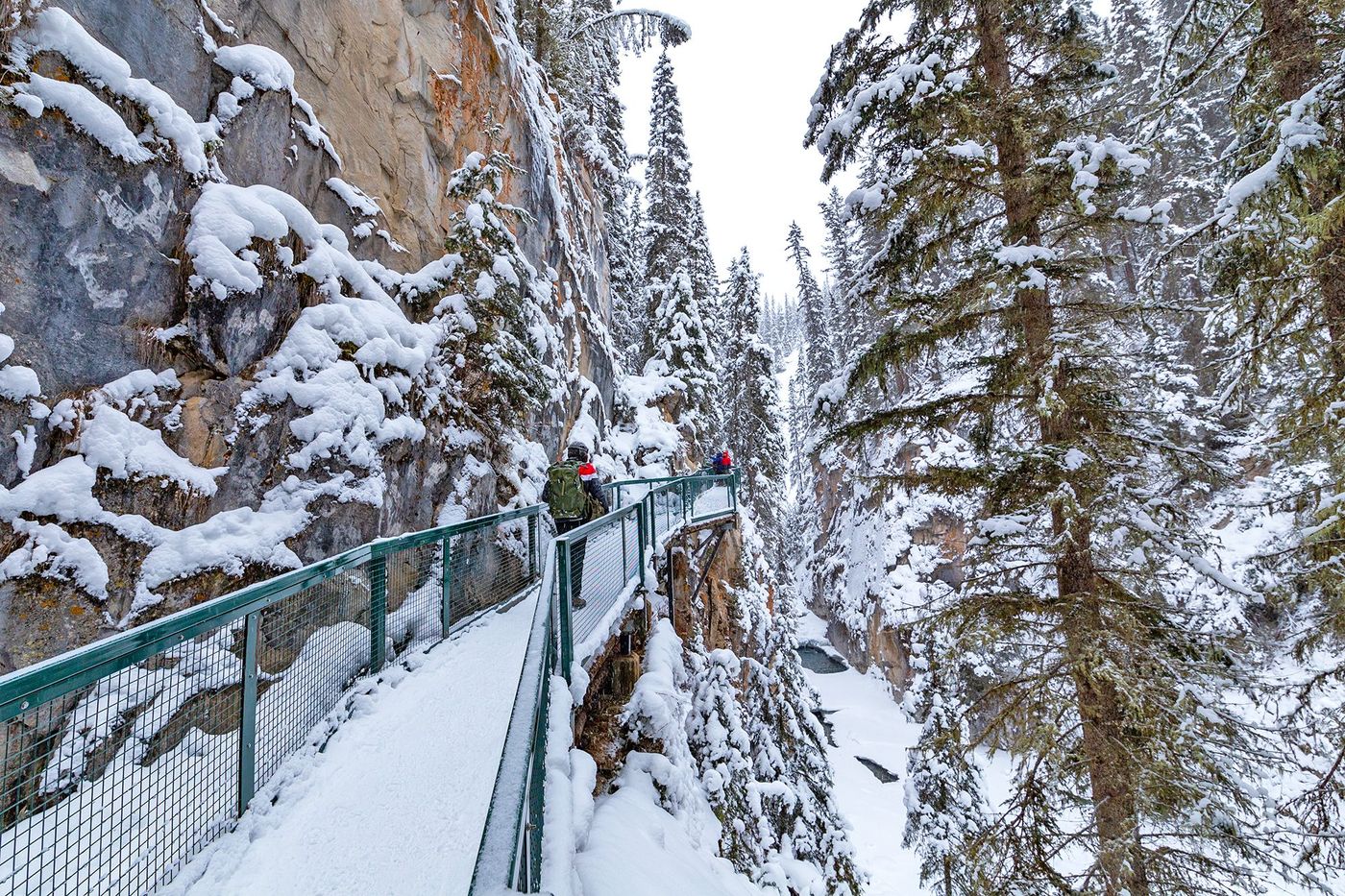 Randonnée - Johnston Canyon