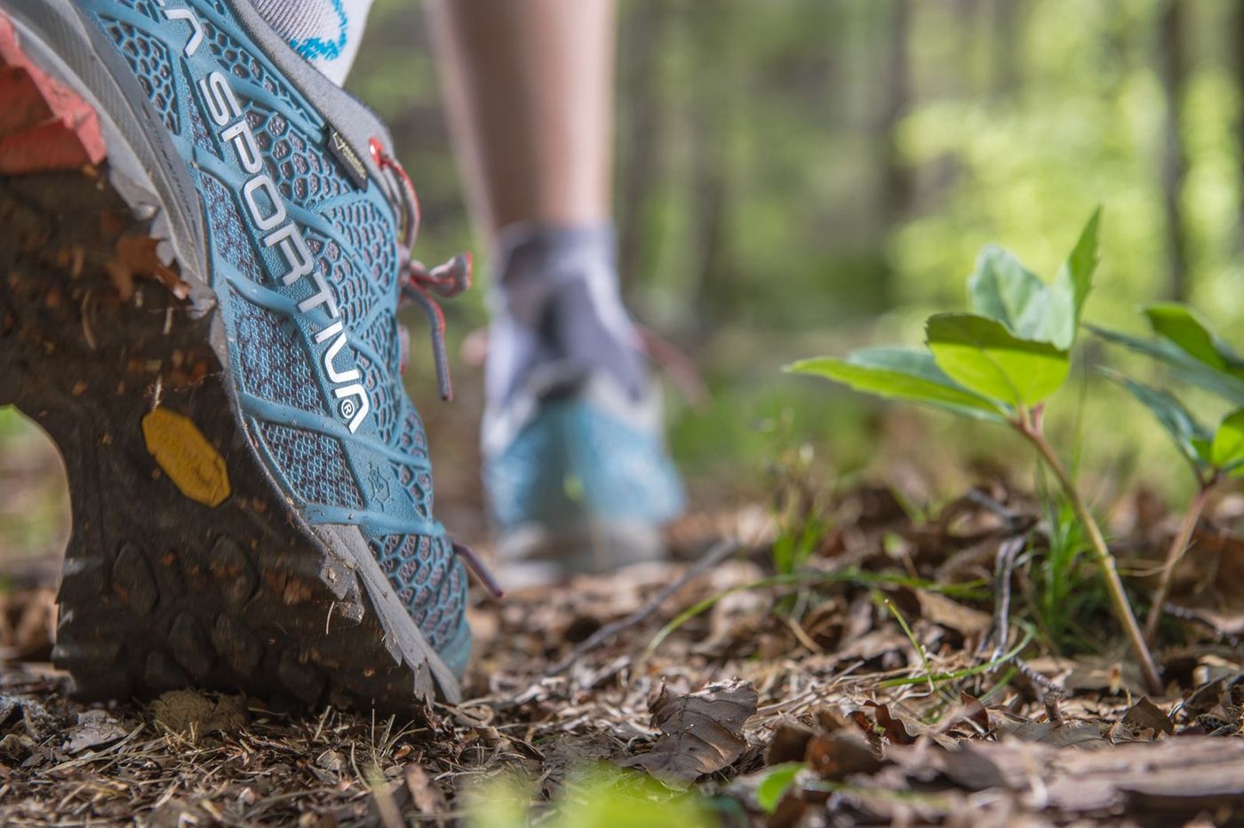Randonnée Chaussures Forêt