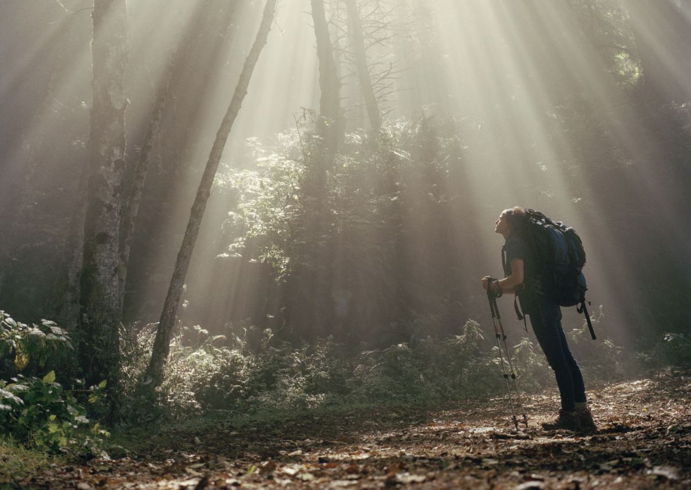 Randonnée Forêt Personne
