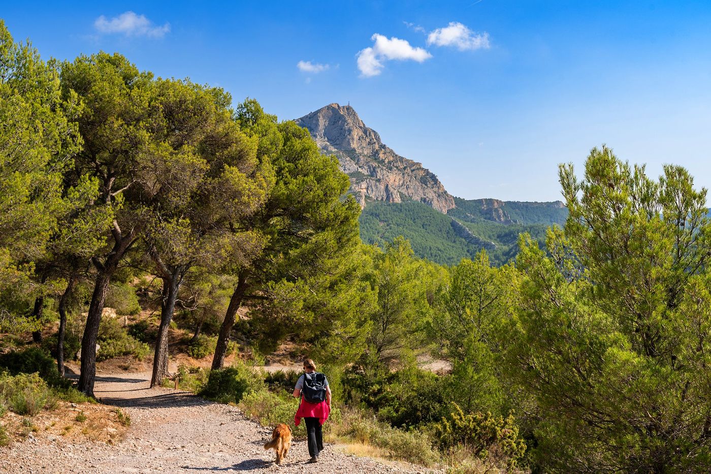 Randonnée montagne Sainte-Victoire 
