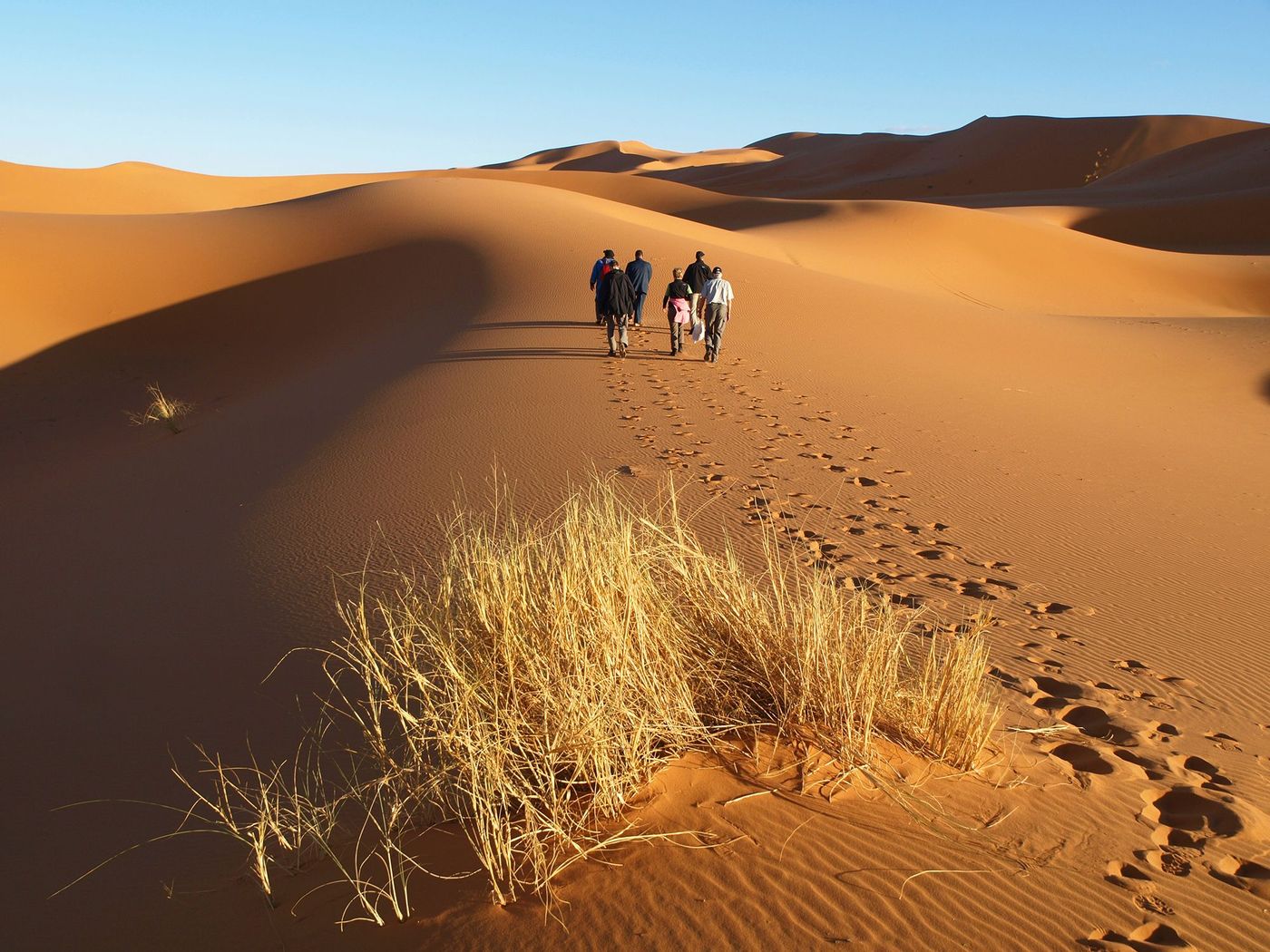 Randonner dans le désert marocain