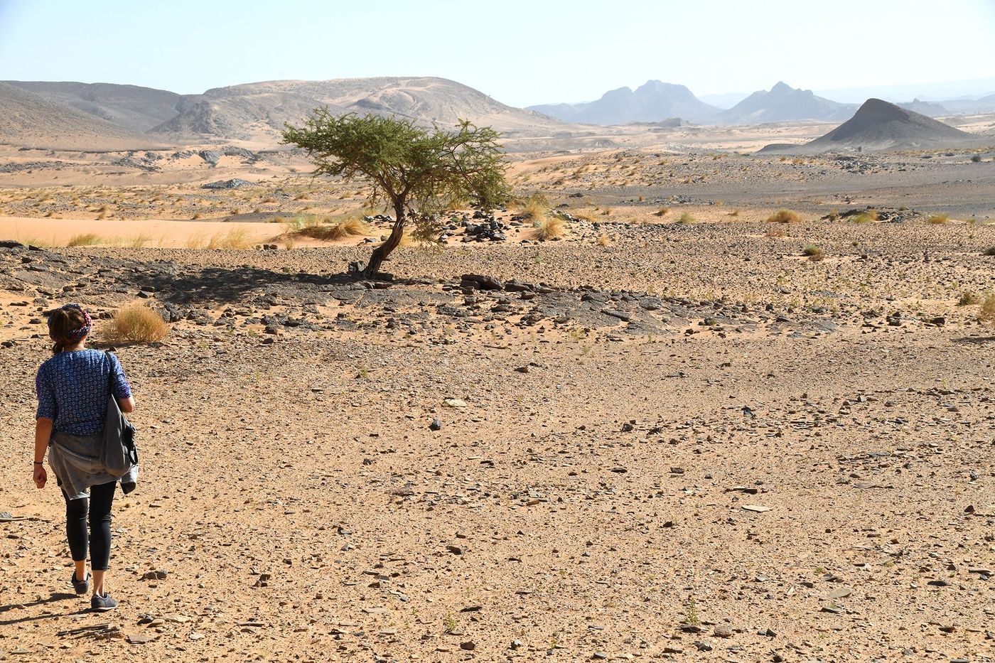 Randonner - plateau désertique marocain