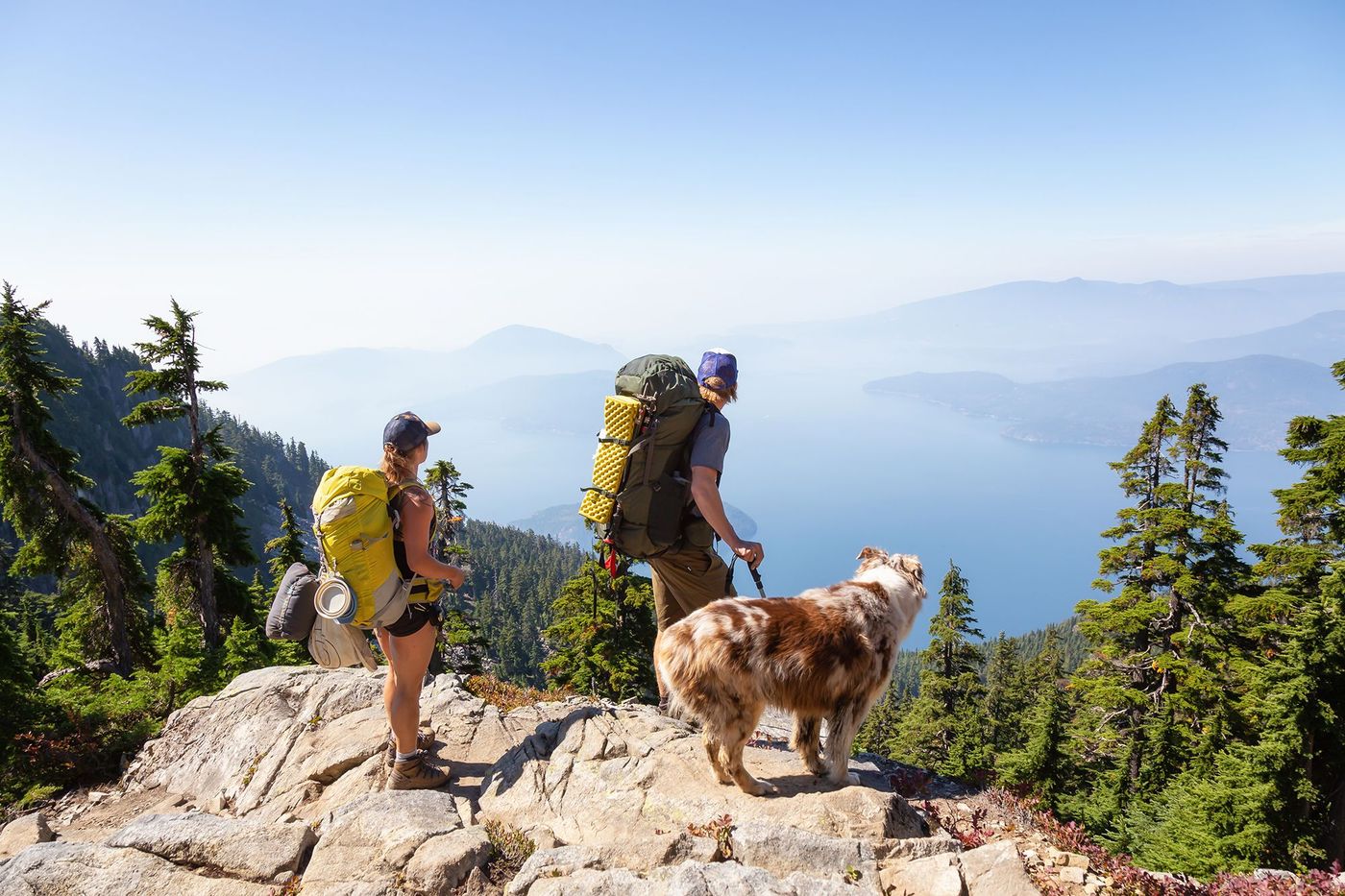 Randonneurs et chien - baie Howe