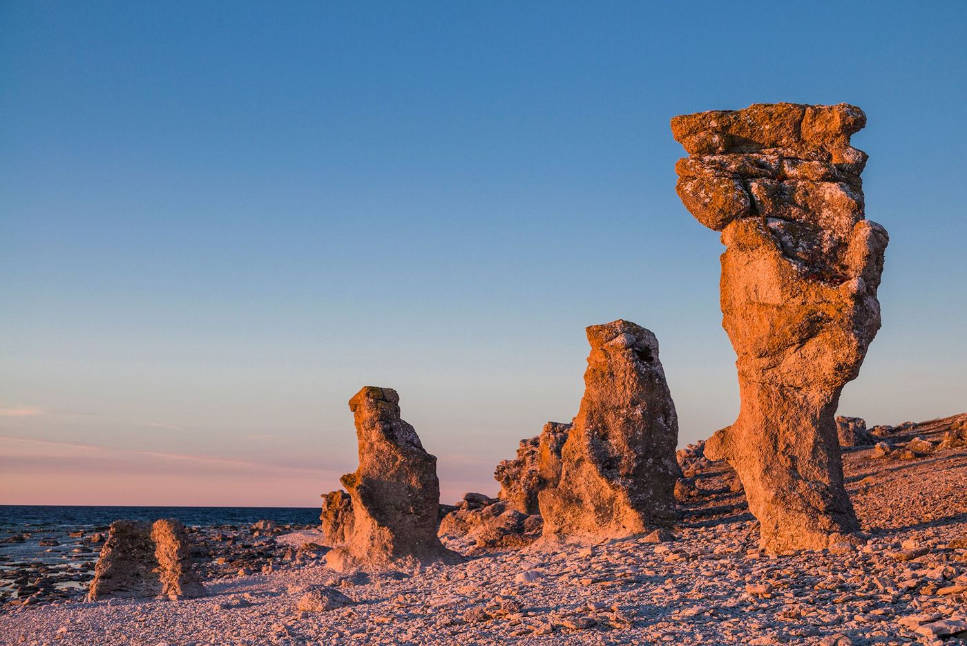 Raukars de Langhammars