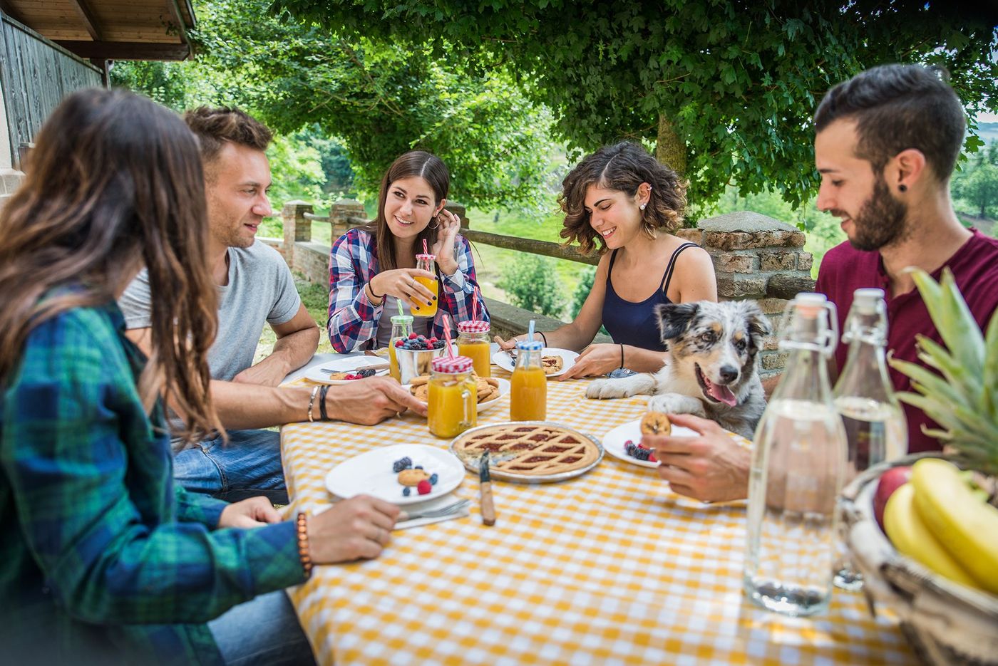 Repas à la ferme