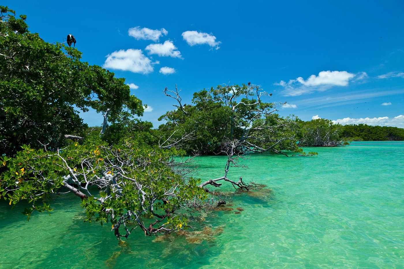 Réserve naturel de Sian Ka’an