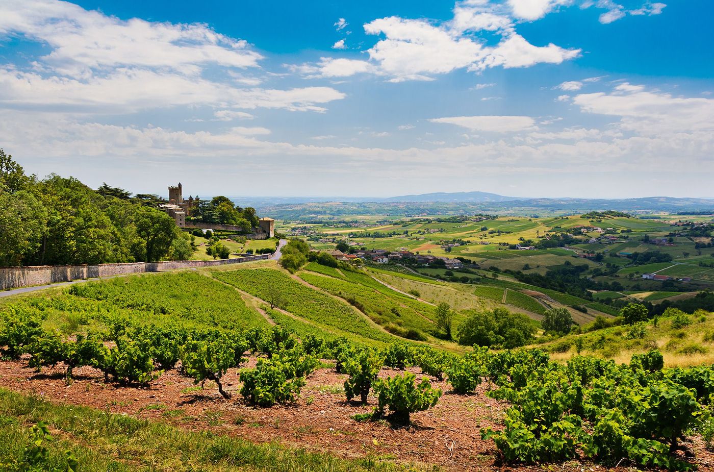 Montmelas Vignes