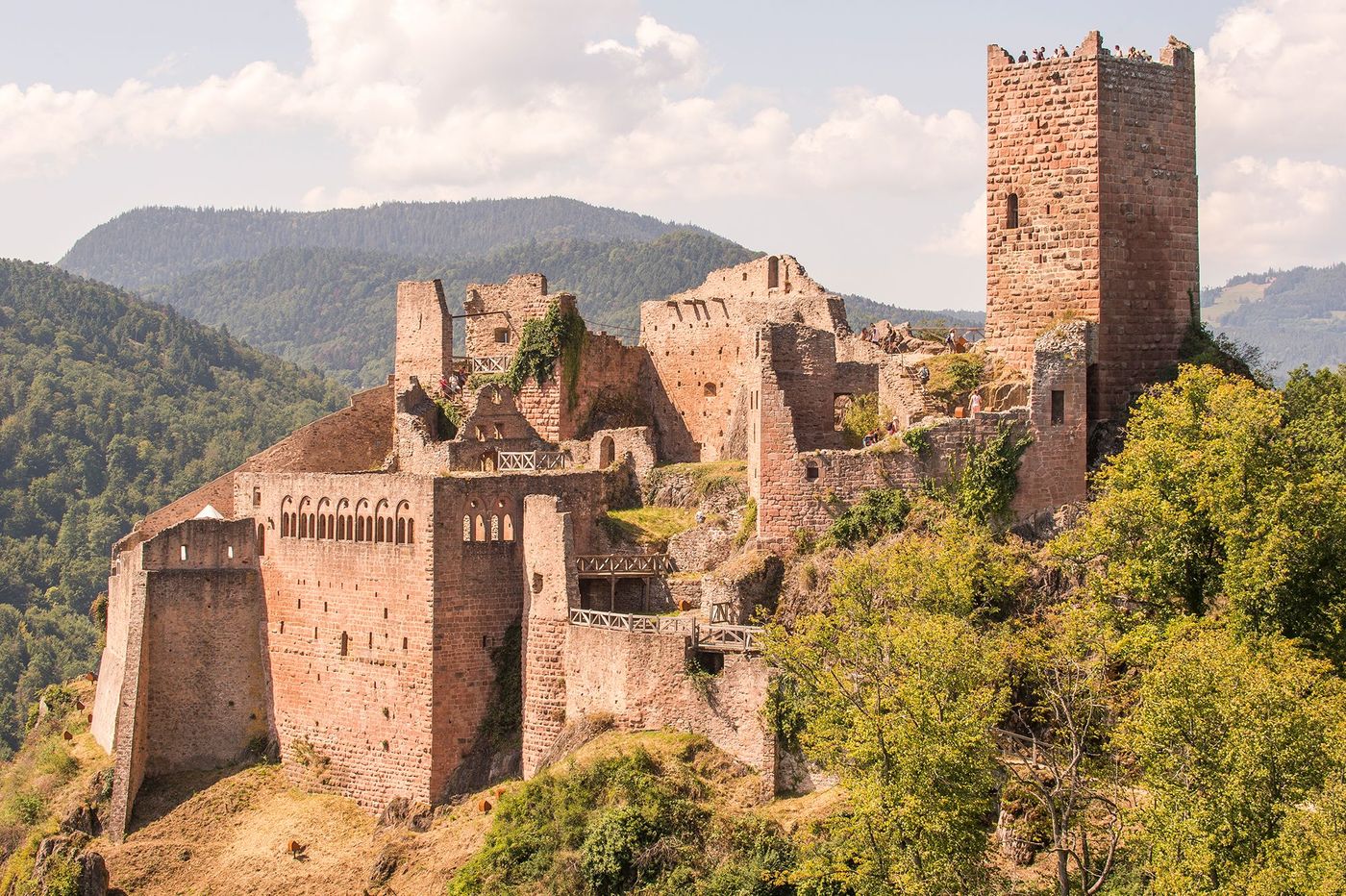 Château Saint-Ulrich à Ribeauvillé