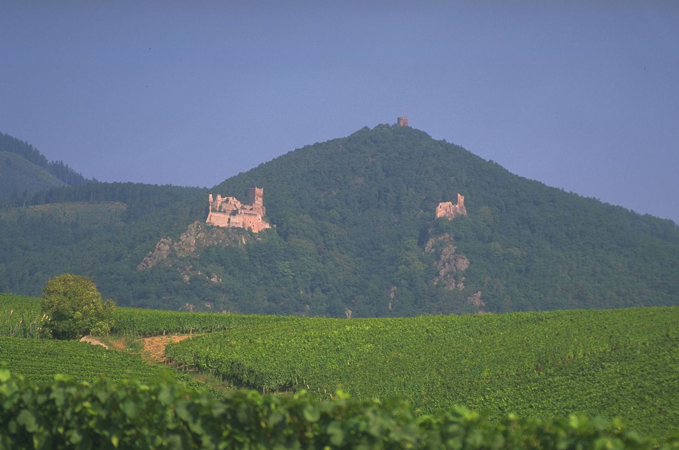France Alsace Château de Ribeauvillé