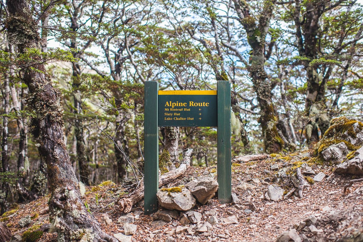 Richmond Range