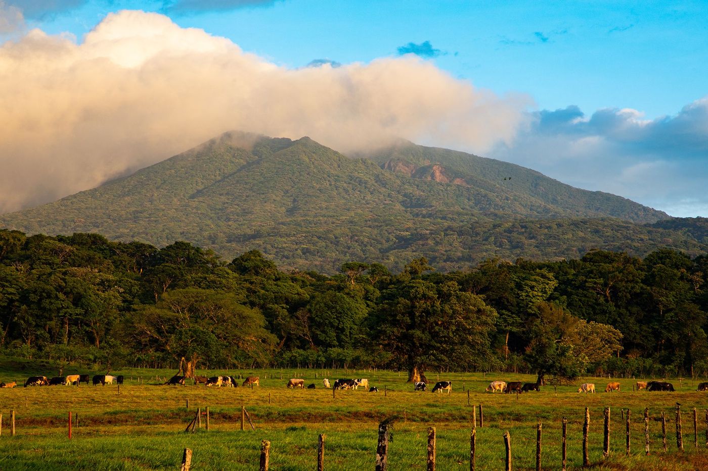 Rincon de la Vieja