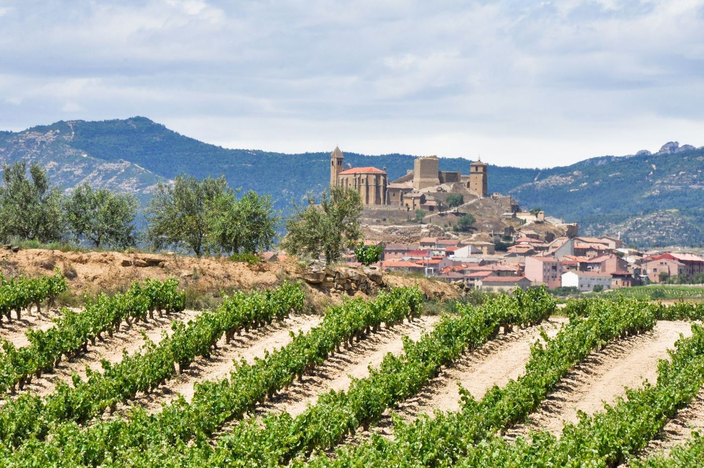 Rioja Vignes Espagne