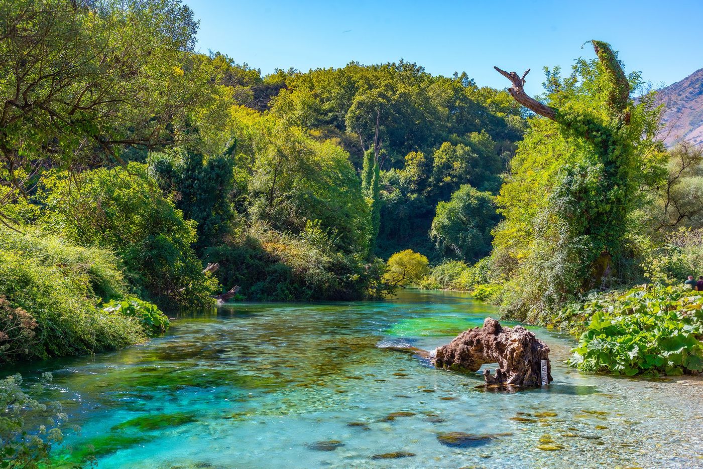 Rivière Bistritza