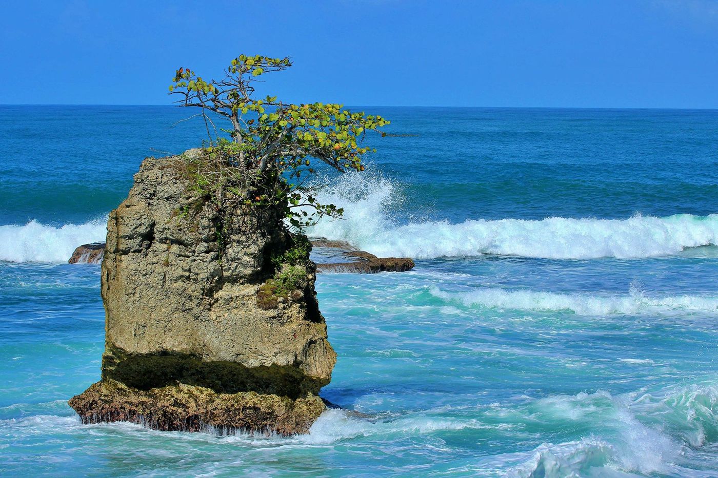 Roca Manzanillo