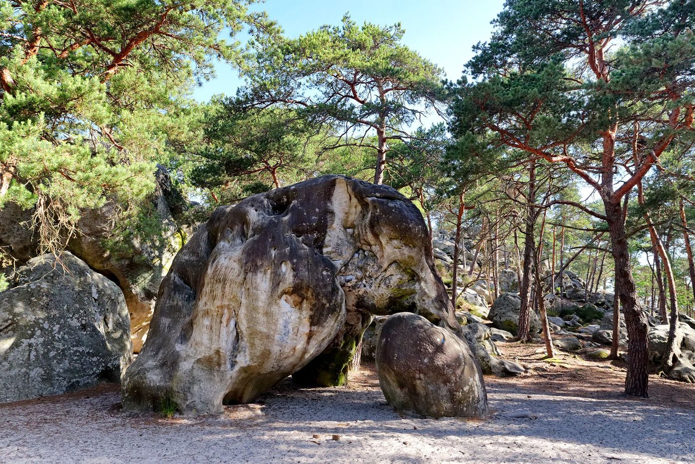 Rocher éléphant - Fontainebleau