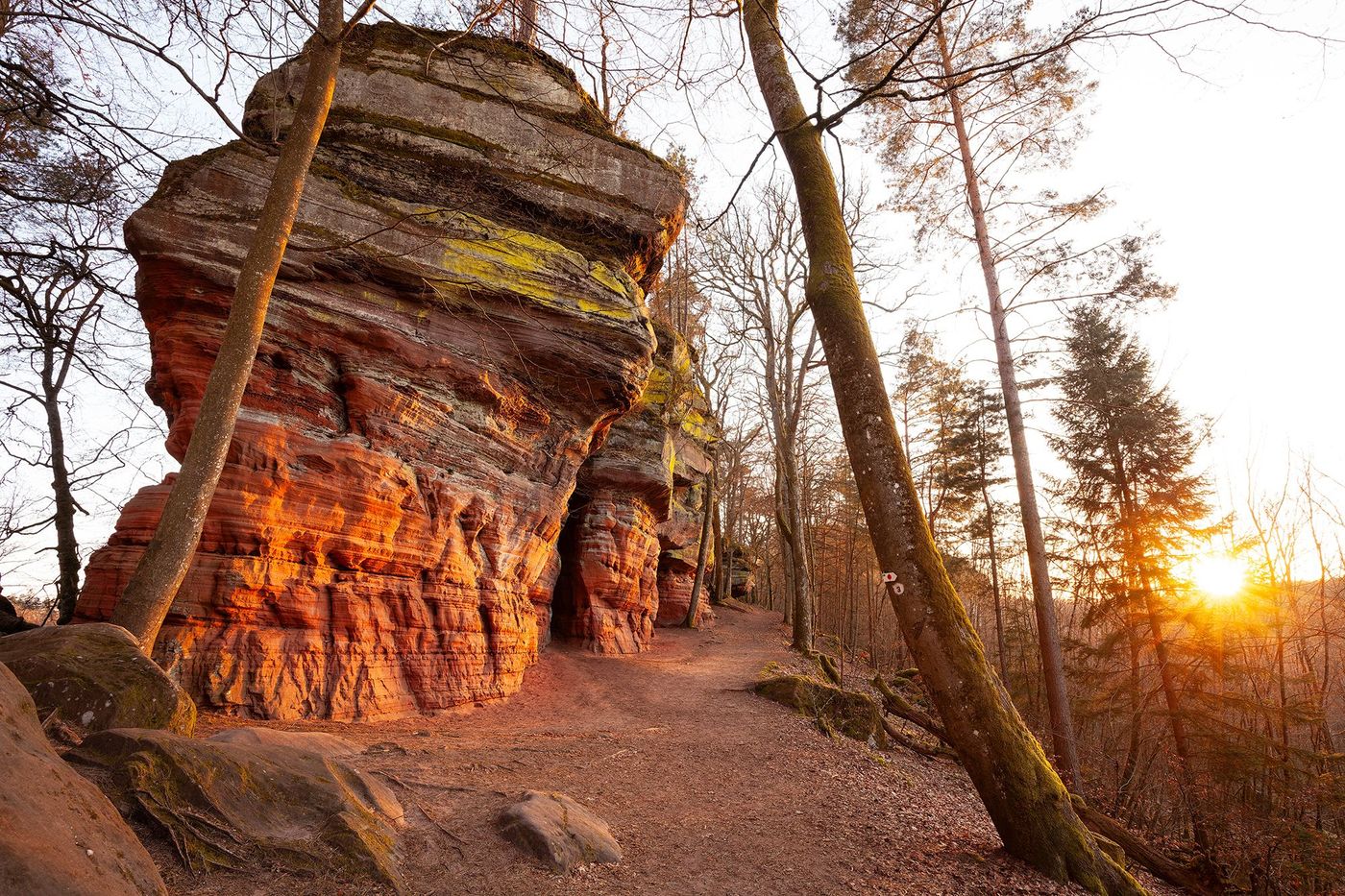 rochers d’Altschlossfelsen
