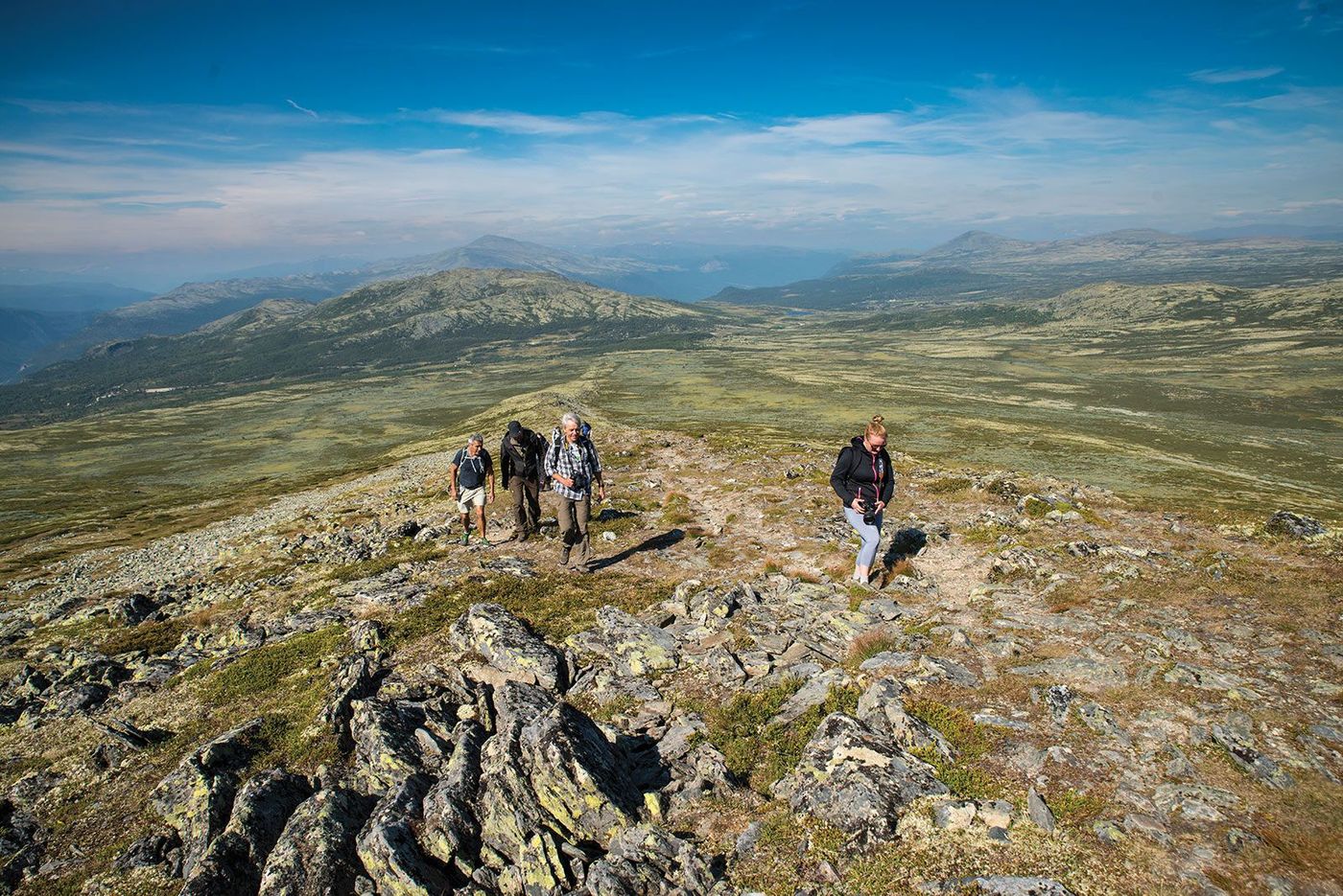 Norvège Parc du Rondane
