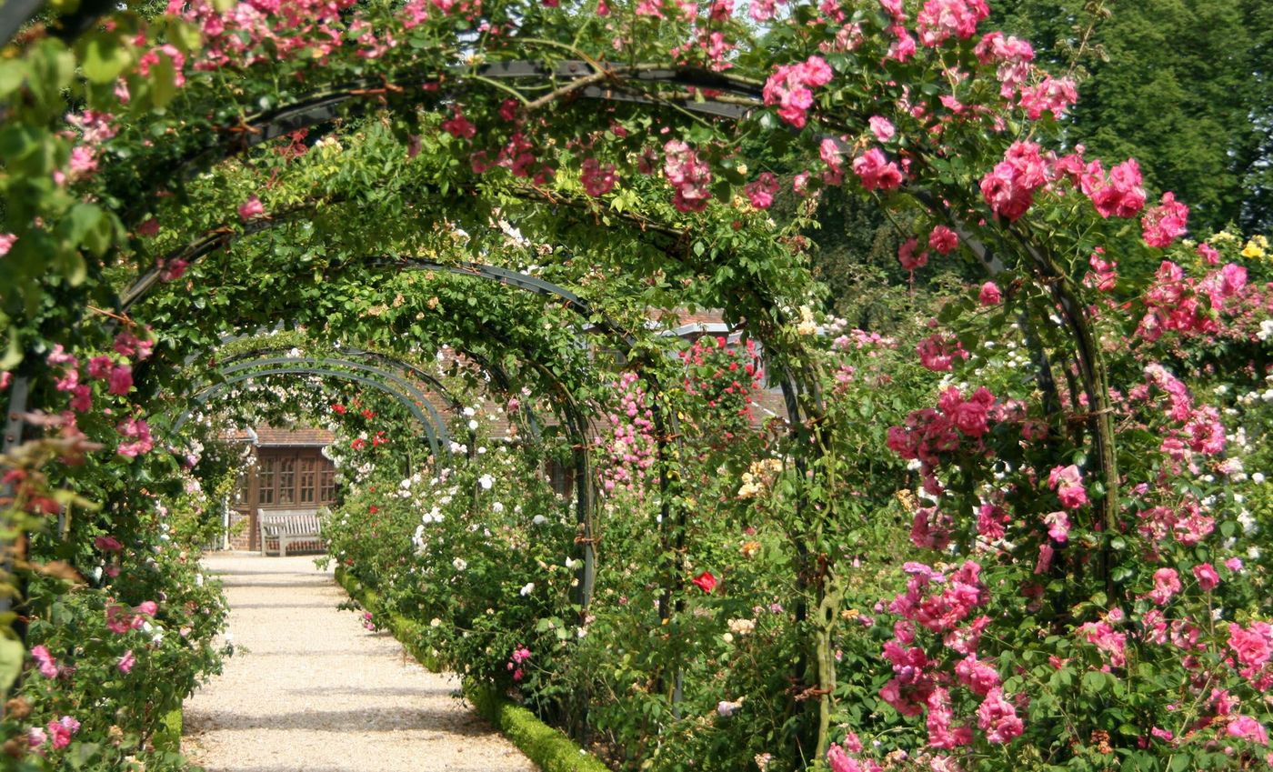 Roseraie Paris Jardins