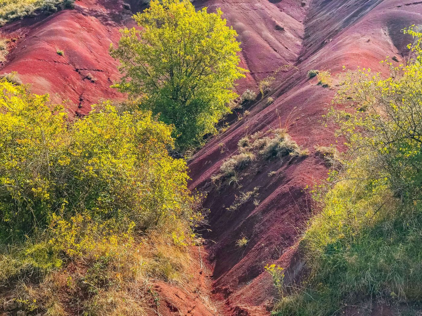 Rougier de Marcillac