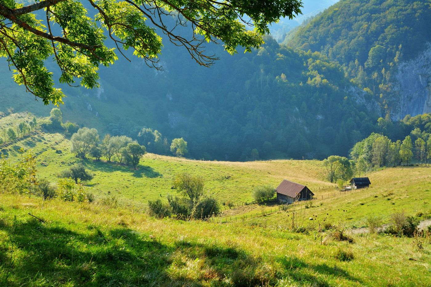 Roumanie Transylvanie Monts Apuseni