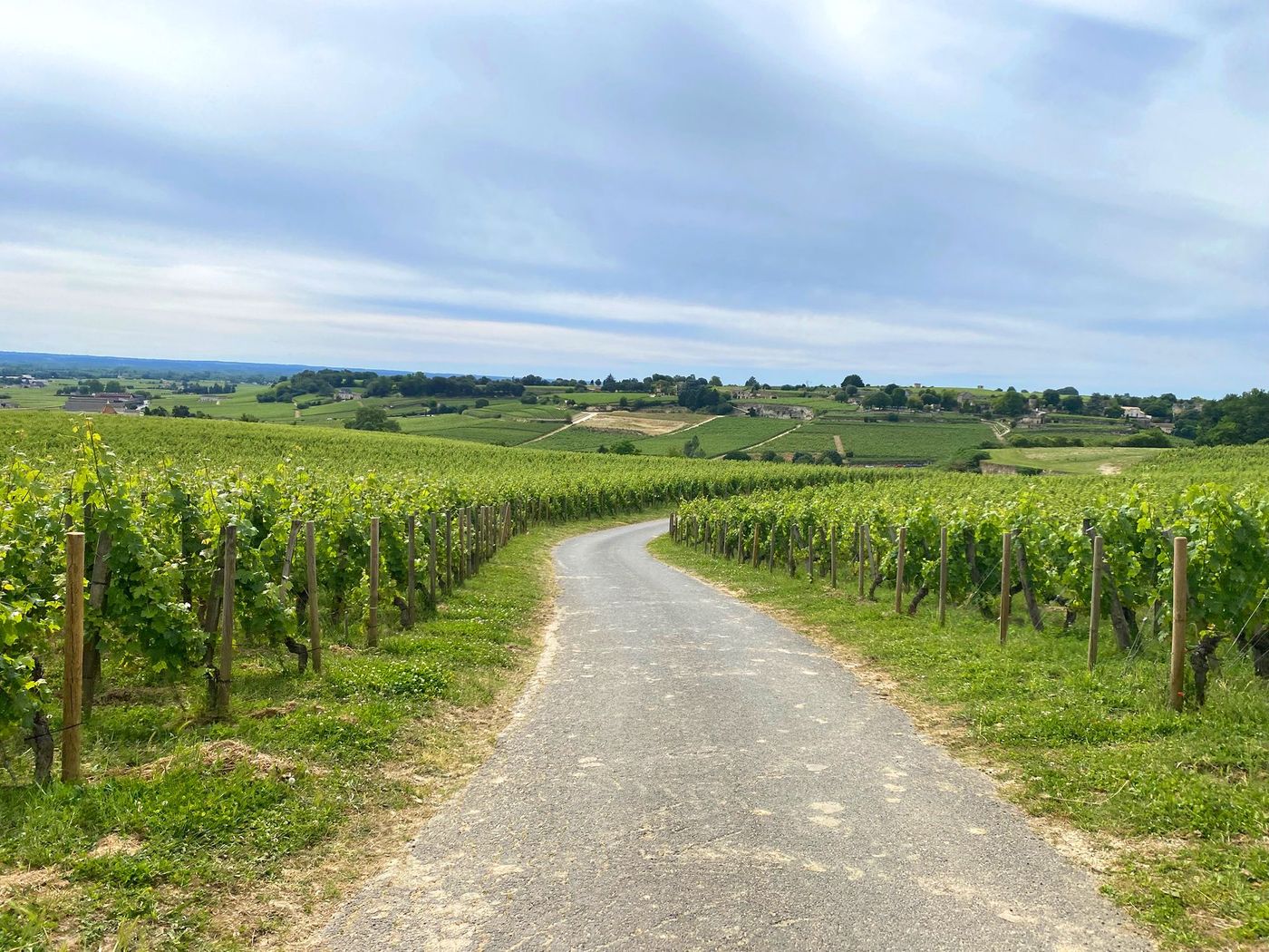Route dans le vignoble de Saint-Émilion
