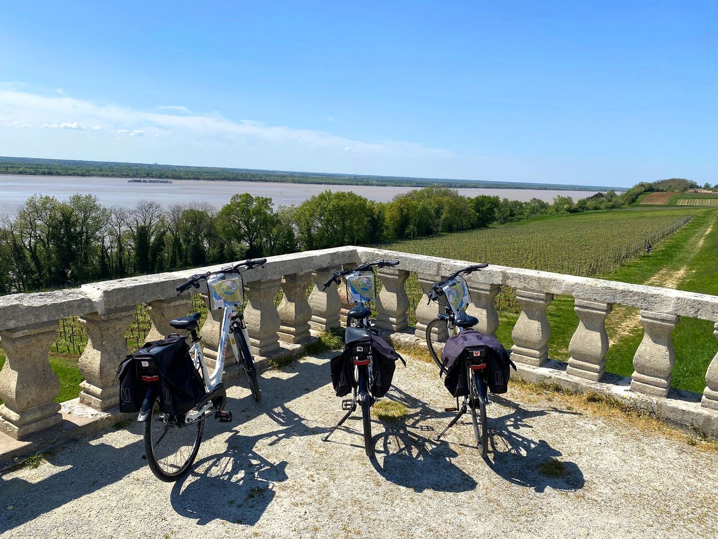 Route de la Corniche - vignoble