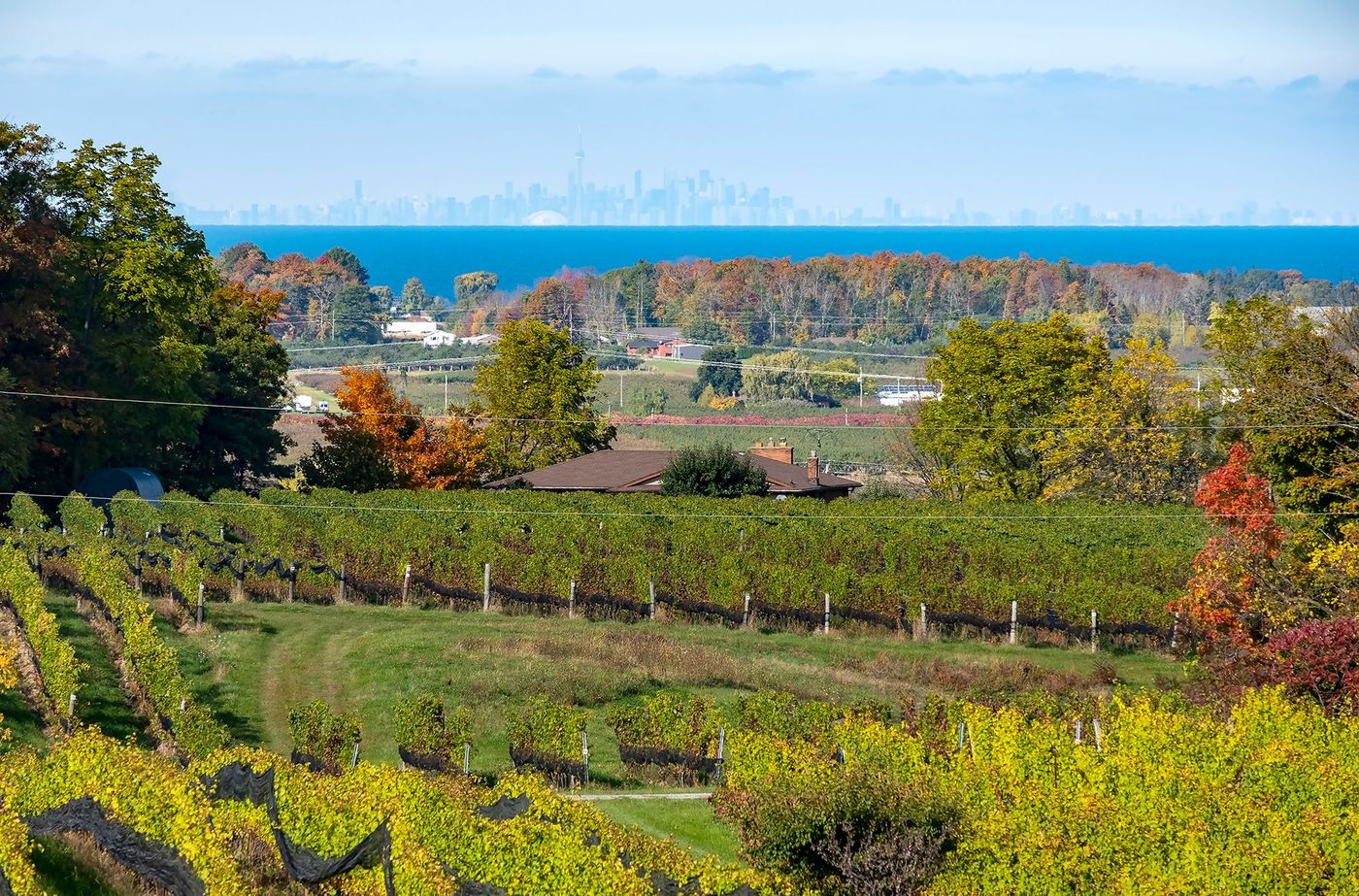 Route des vins - région de Niagara