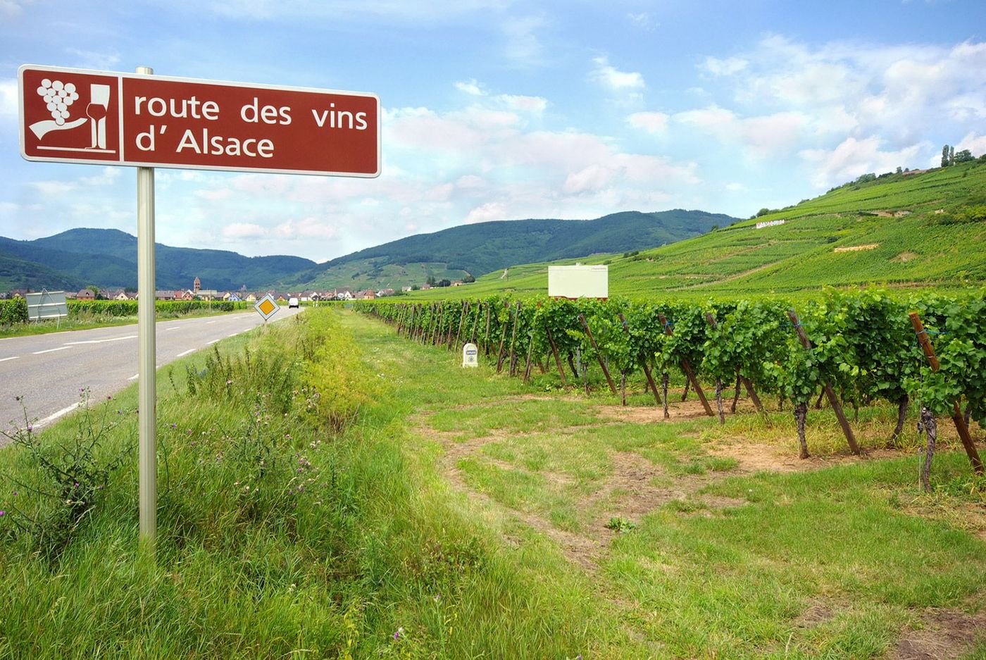 France Route des vins d'Alsace