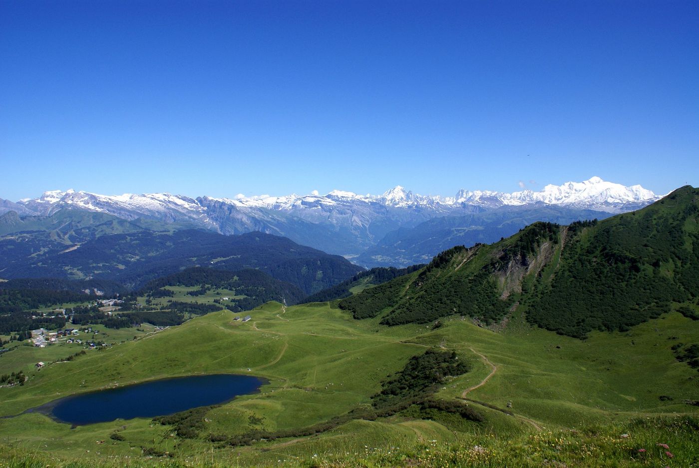 Roy Lac Savoie