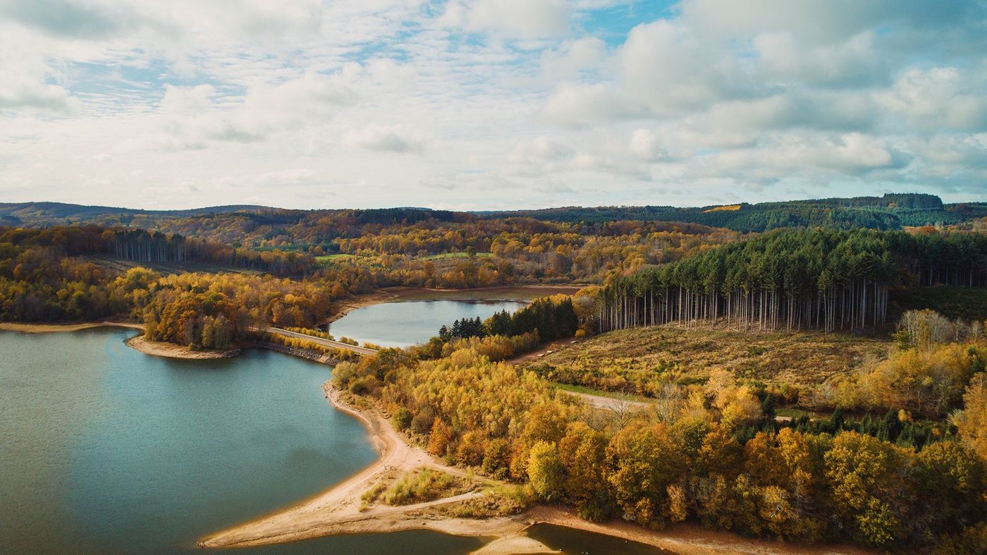 Forêts