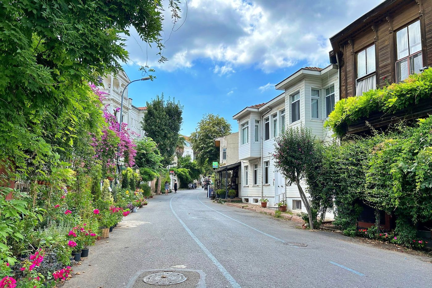 Ruelle avec végétation - Heybeliada
