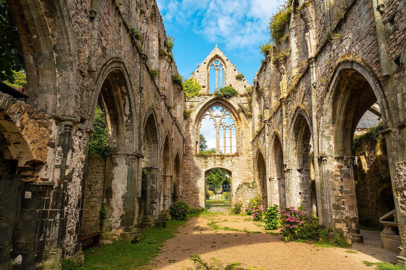 Ruines de l'abbaye de Beauport