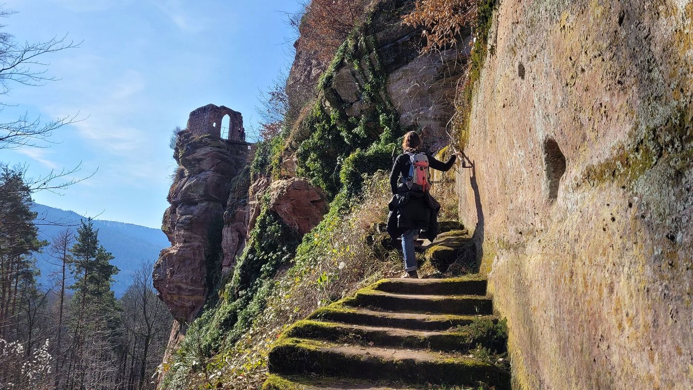 Ruines troglodytes du Froensbourg