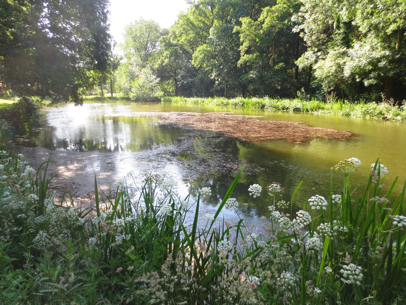 Ruisseaux Chouannerie Bretagne