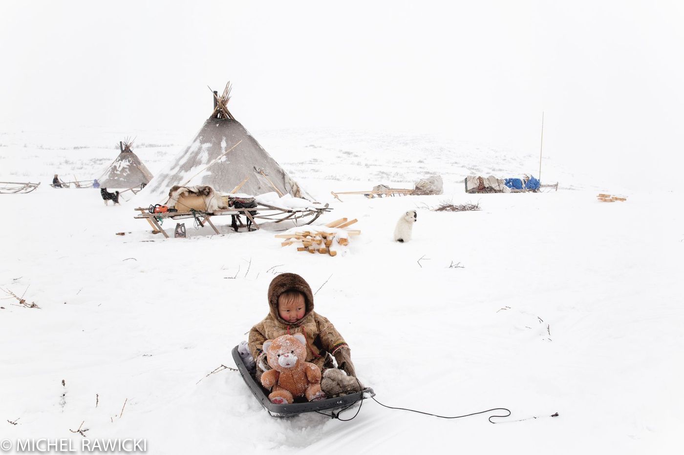 Jeune nenet et son ourson de la Péninsule de Yamal, Russie