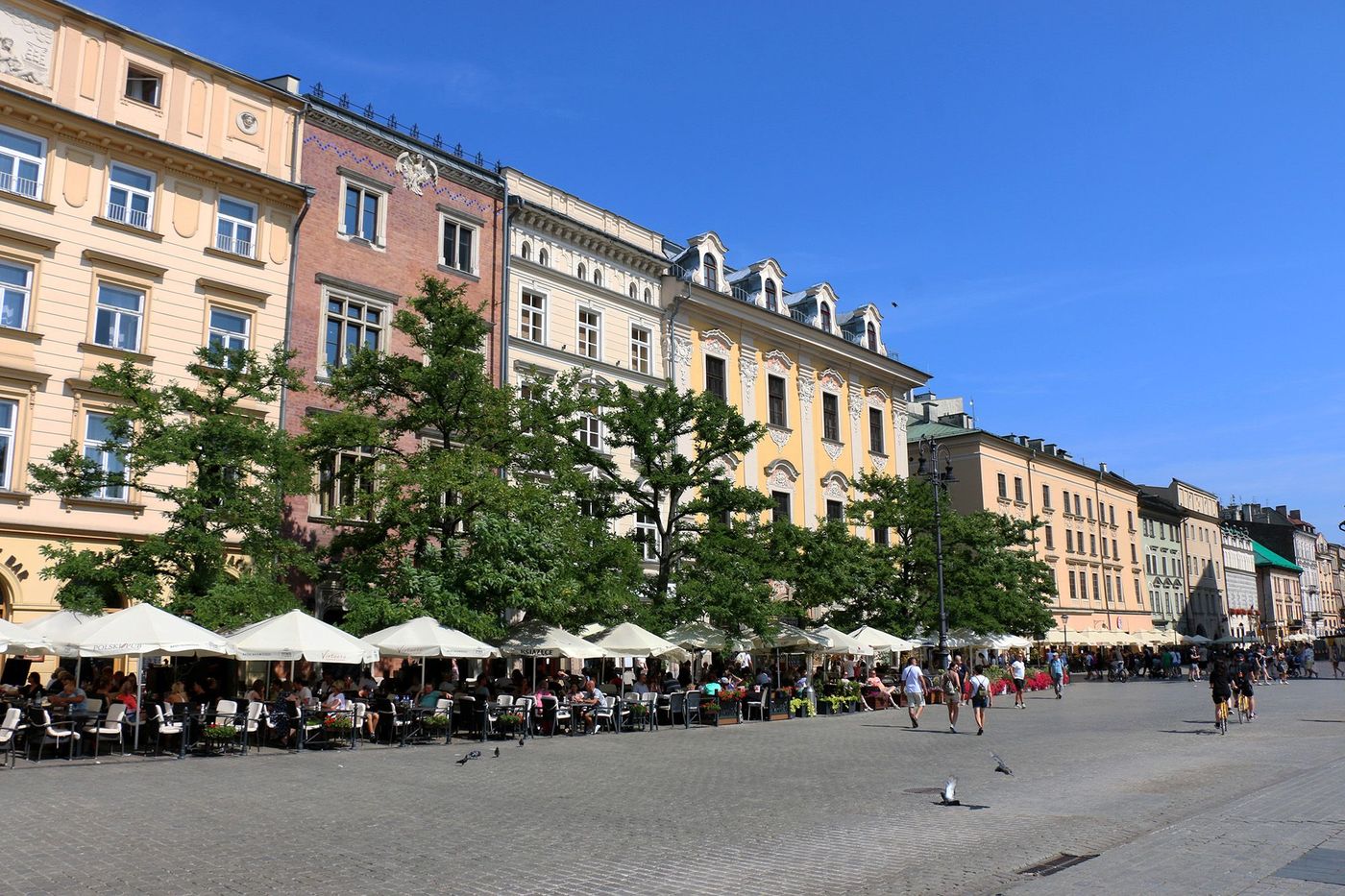 Rynek - bars et restaurants