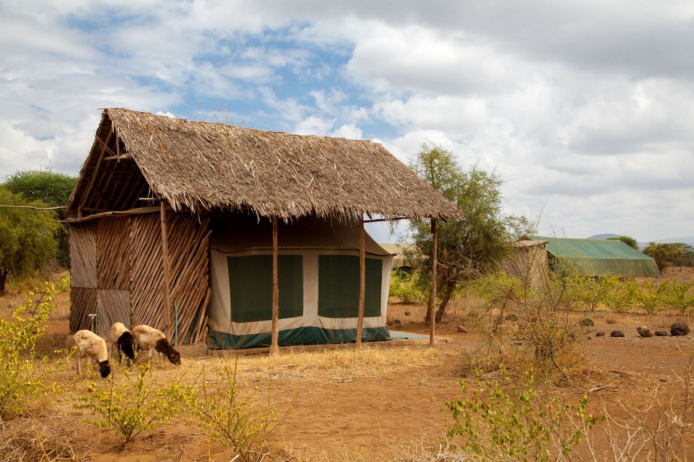Safari Logement Kenya