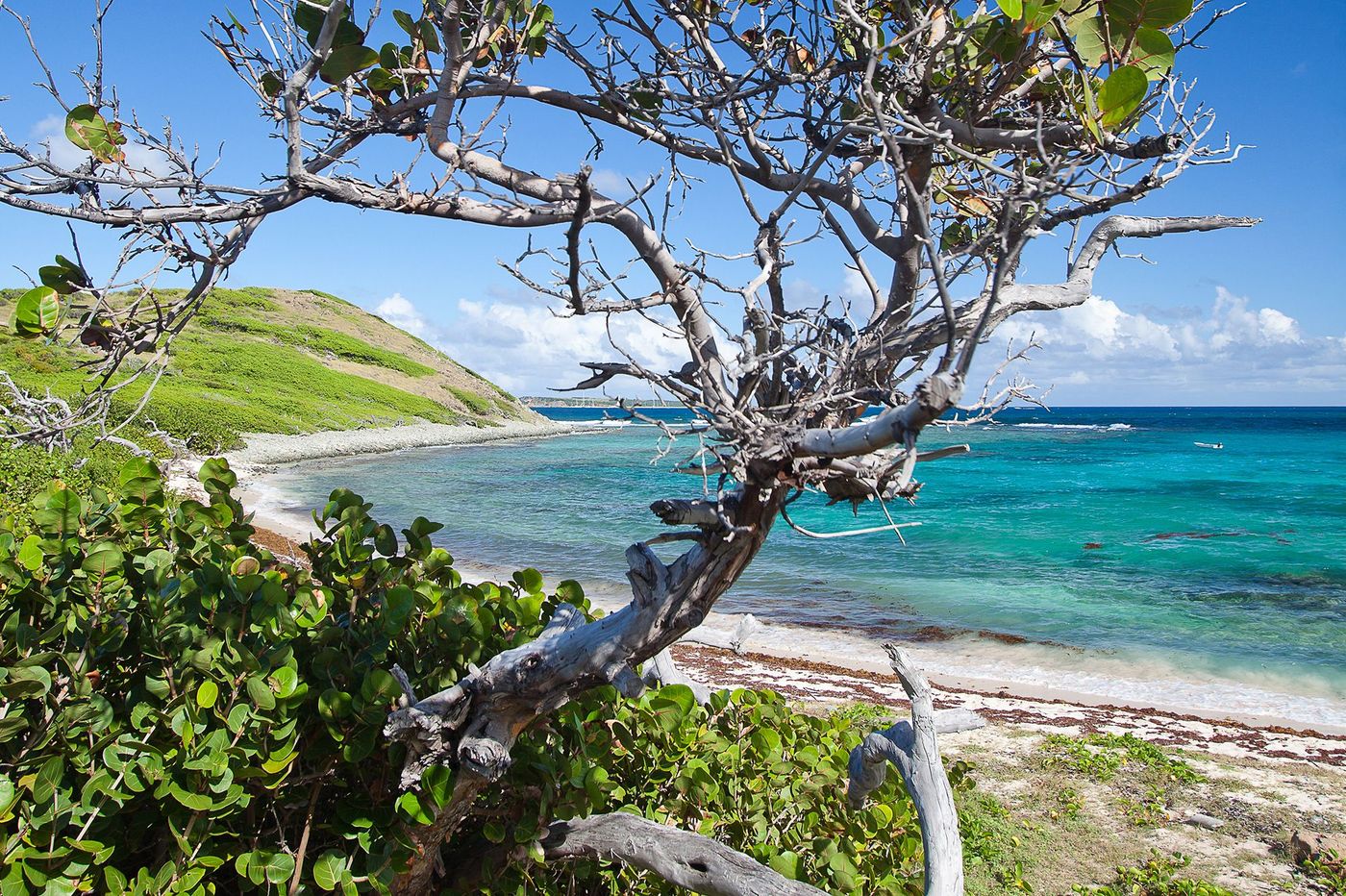 Saint-Martin Ilet Pinel