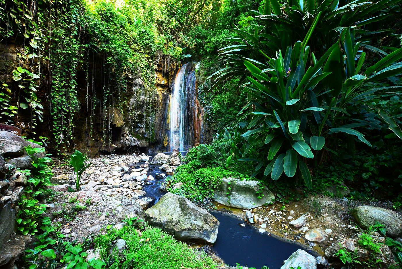 Sainte-Lucie Diamond Falls Botanic Garden