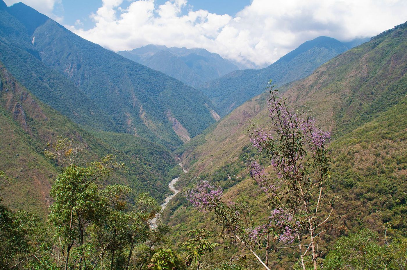 Pérou Sur le Trek du Salkantay