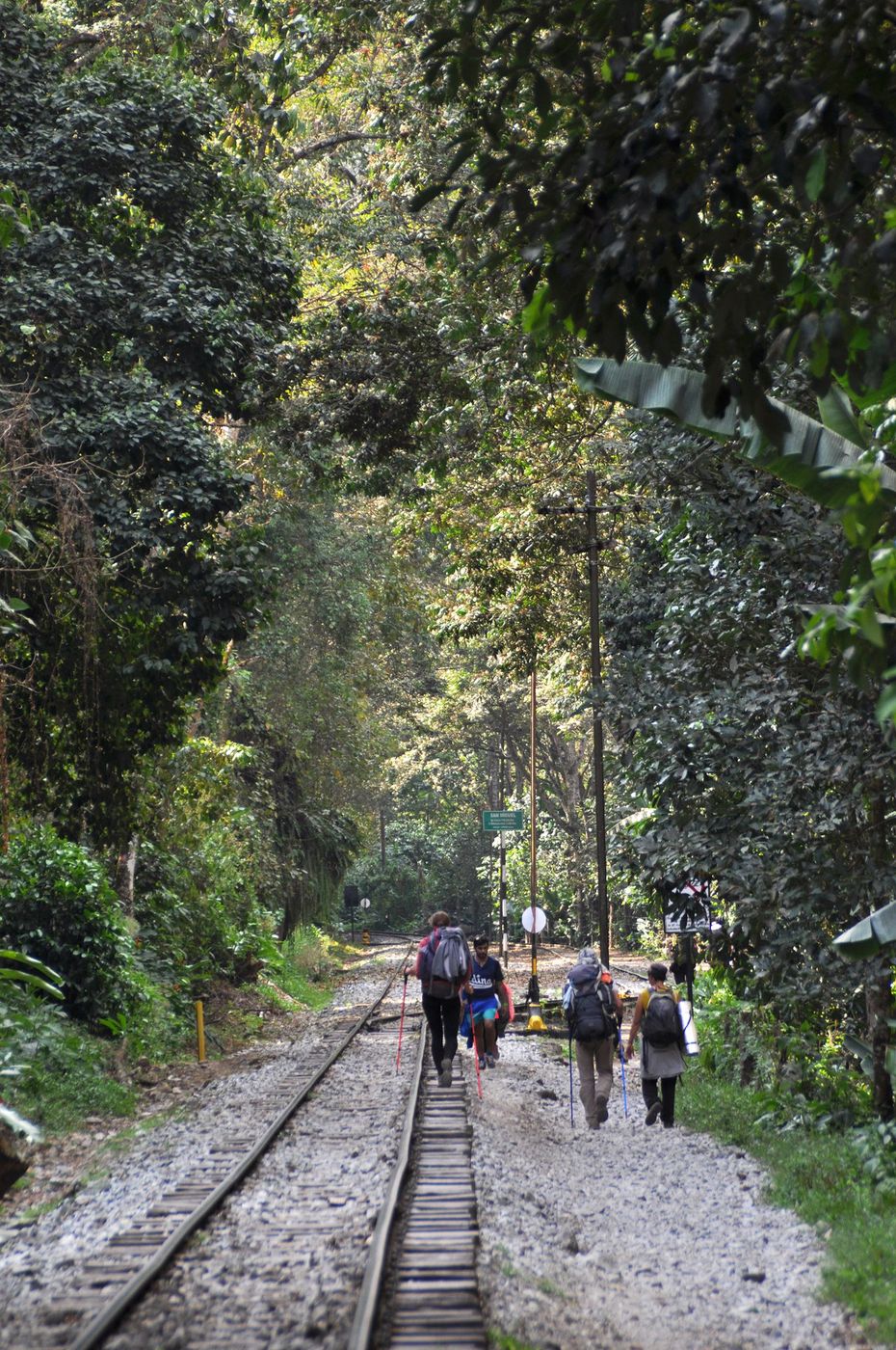 Pérou Trek du Salkantay de La Playa à Aguas Calientes