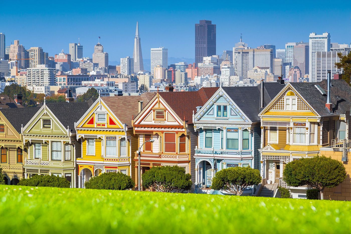 San Francisco Painted Ladies