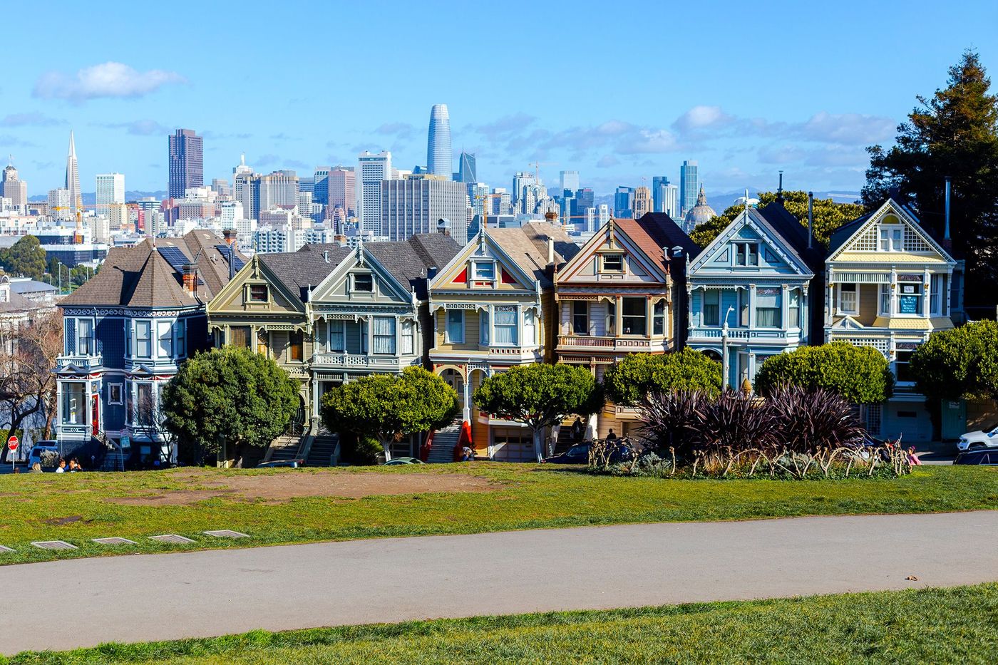 San Francisco Painted Ladies