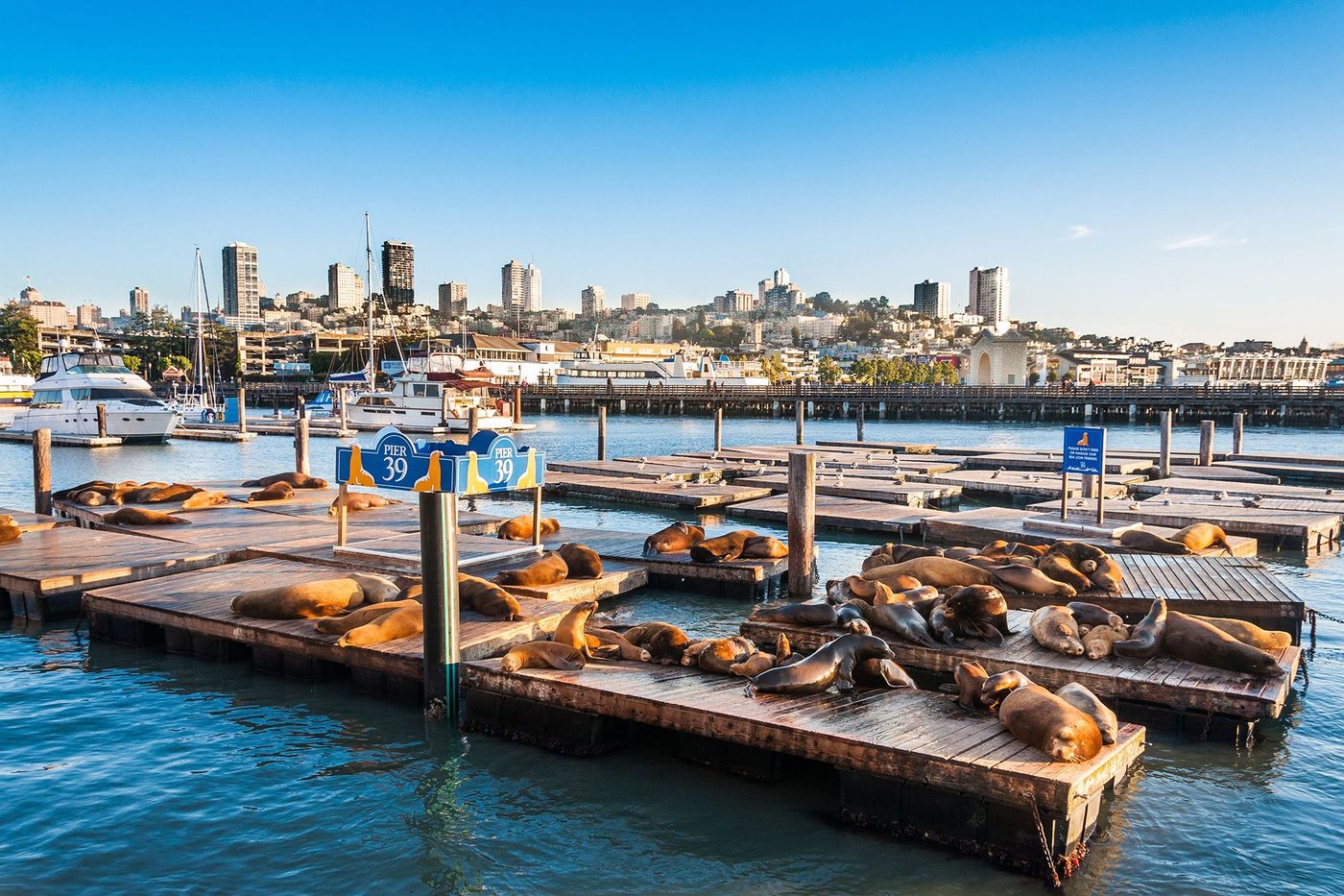 San Francisco Pier 39