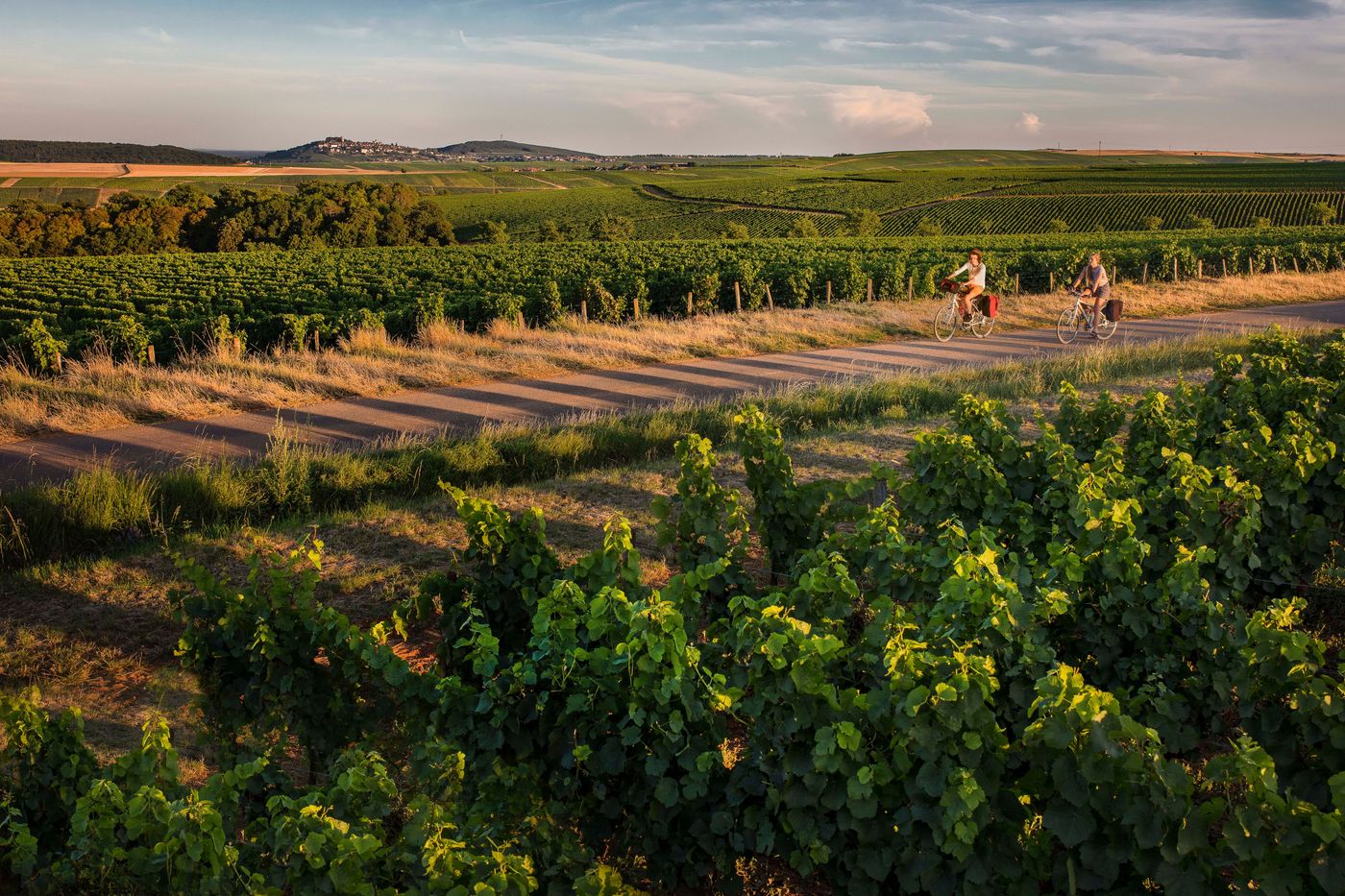 Balade à vélo dans le vignoble de Sancerre et village en arrière-plan