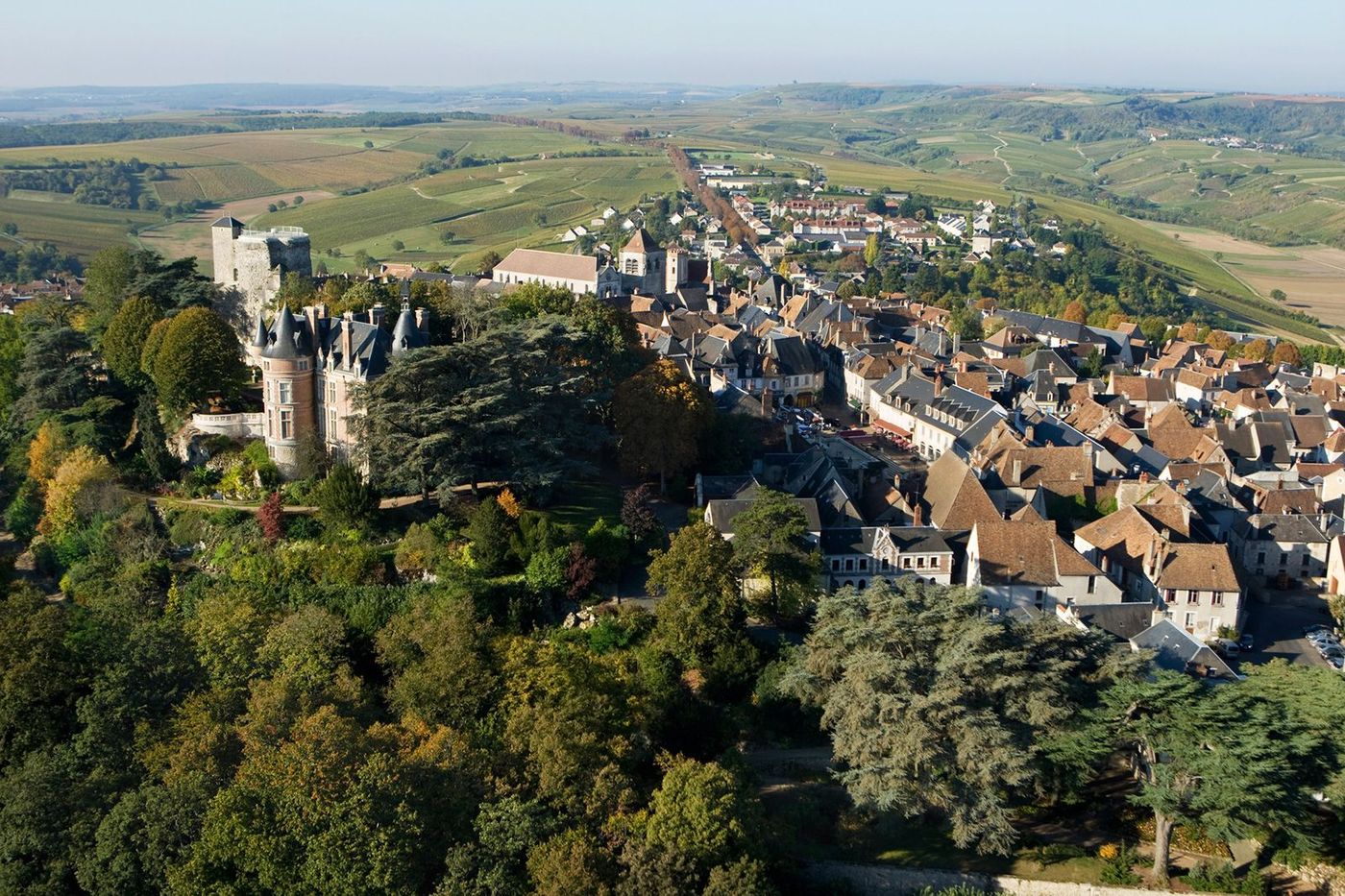 Berry Sancerre