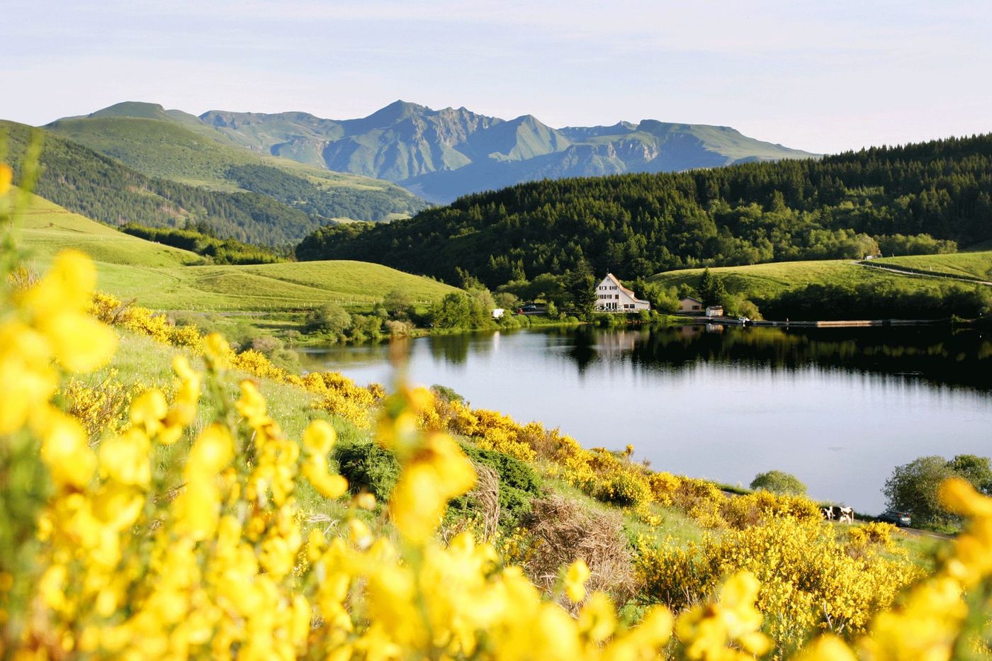 Sancy Lac de Guery © DFROBERT